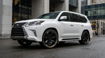 Фото диска VORSALINO STYLE черный